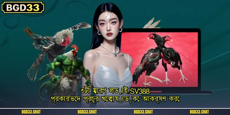 ৩টি মোরগ লড়াই SV388 প্রকারভেদ প্রচুর খেলোয়াড়কে আকর্ষণ করে