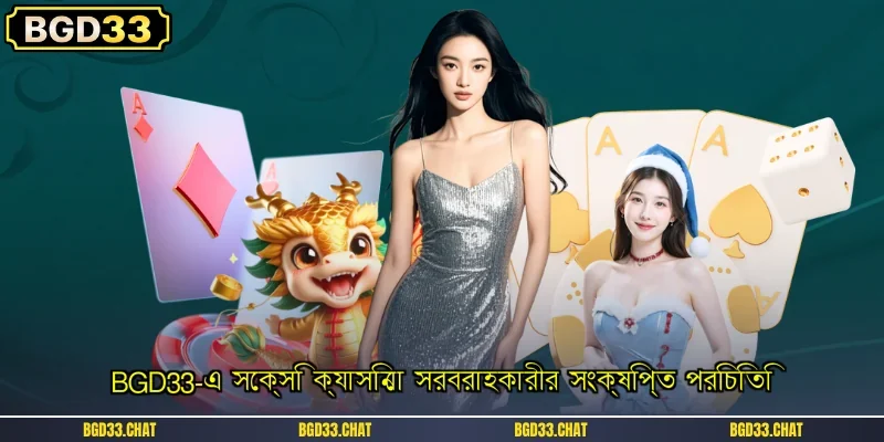 BGD33-এ সেক্সি ক্যাসিনো সরবরাহকারীর সংক্ষিপ্ত পরিচিতি