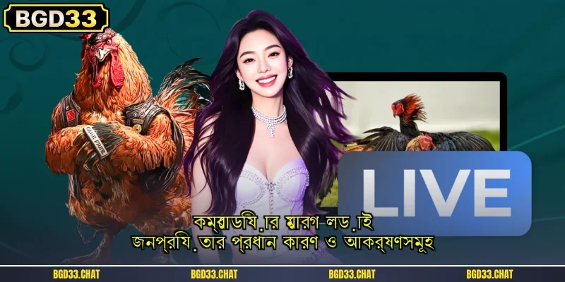 কম্বোডিয়ার মোরগ লড়াই: জনপ্রিয়তার প্রধান কারণ ও আকর্ষণসমূহ